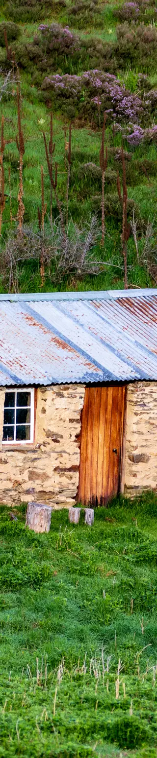 Ophir der Goldgräberort